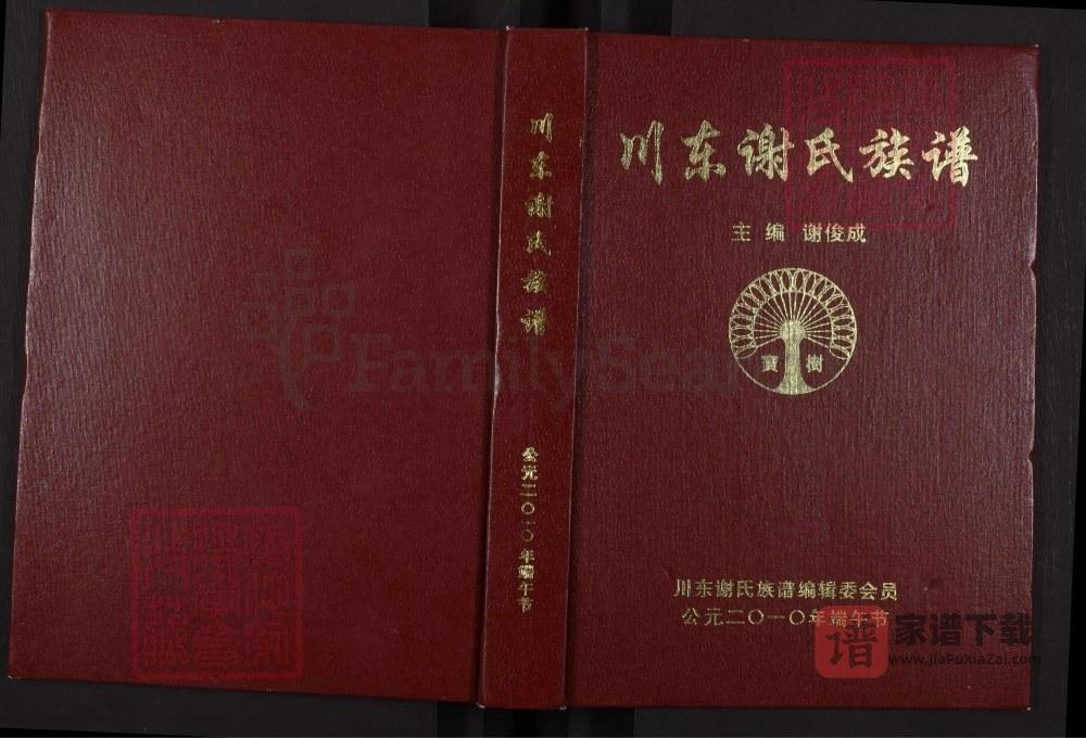 四川达州大竹县川东谢氏族谱PDF高清电子版下载