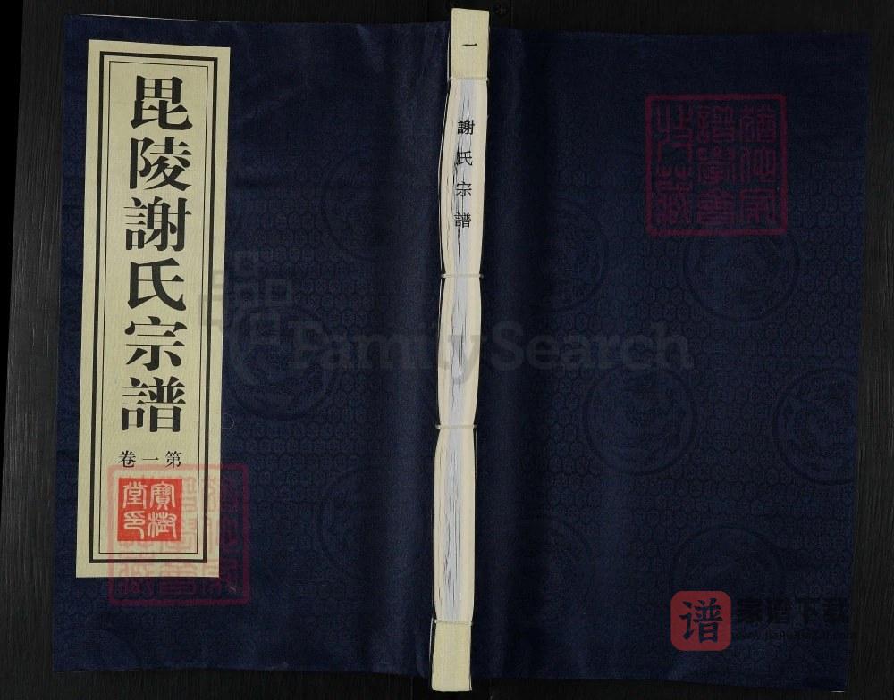 江苏常州武进区毘陵谢氏宗谱（宝树堂）PDF高清电子版下载