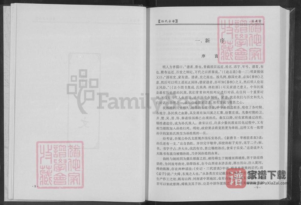 图片[2]-湖北孙氏宗谱冕公裔入楚支系（乐安堂）PDF高清电子版下载-家谱下载