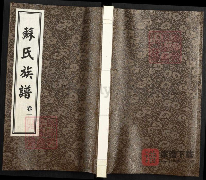 山东德州武城甘泉苏氏族谱PDF高清电子版下载-家谱下载