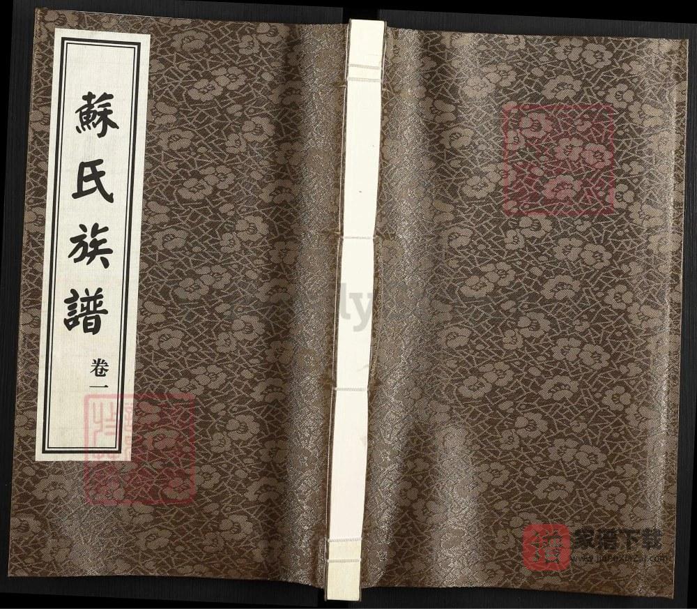 山东德州武城甘泉苏氏族谱PDF高清电子版下载