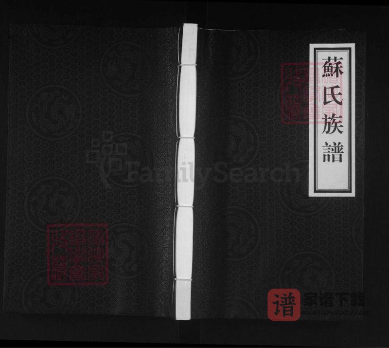 河北泊头苏氏族谱PDF高清电子版下载-家谱下载