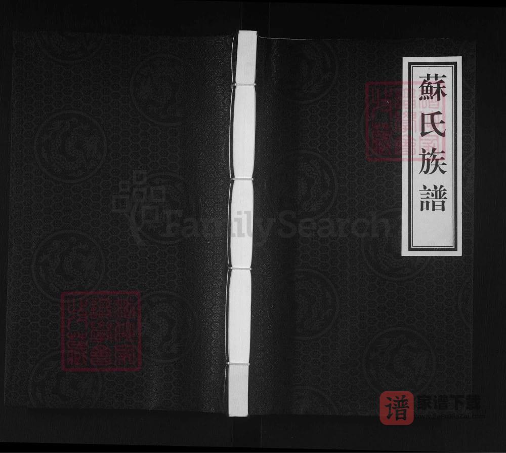河北泊头苏氏族谱PDF高清电子版下载