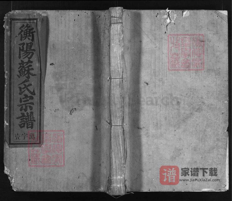 浙江兰溪衡阳苏氏宗谱（民国元年本）PDF高清电子版下载-家谱下载