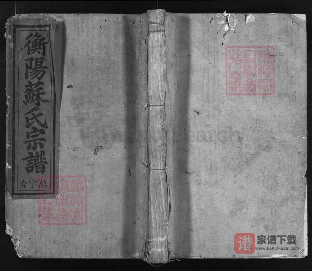 浙江兰溪衡阳苏氏宗谱（民国元年本）PDF高清电子版下载