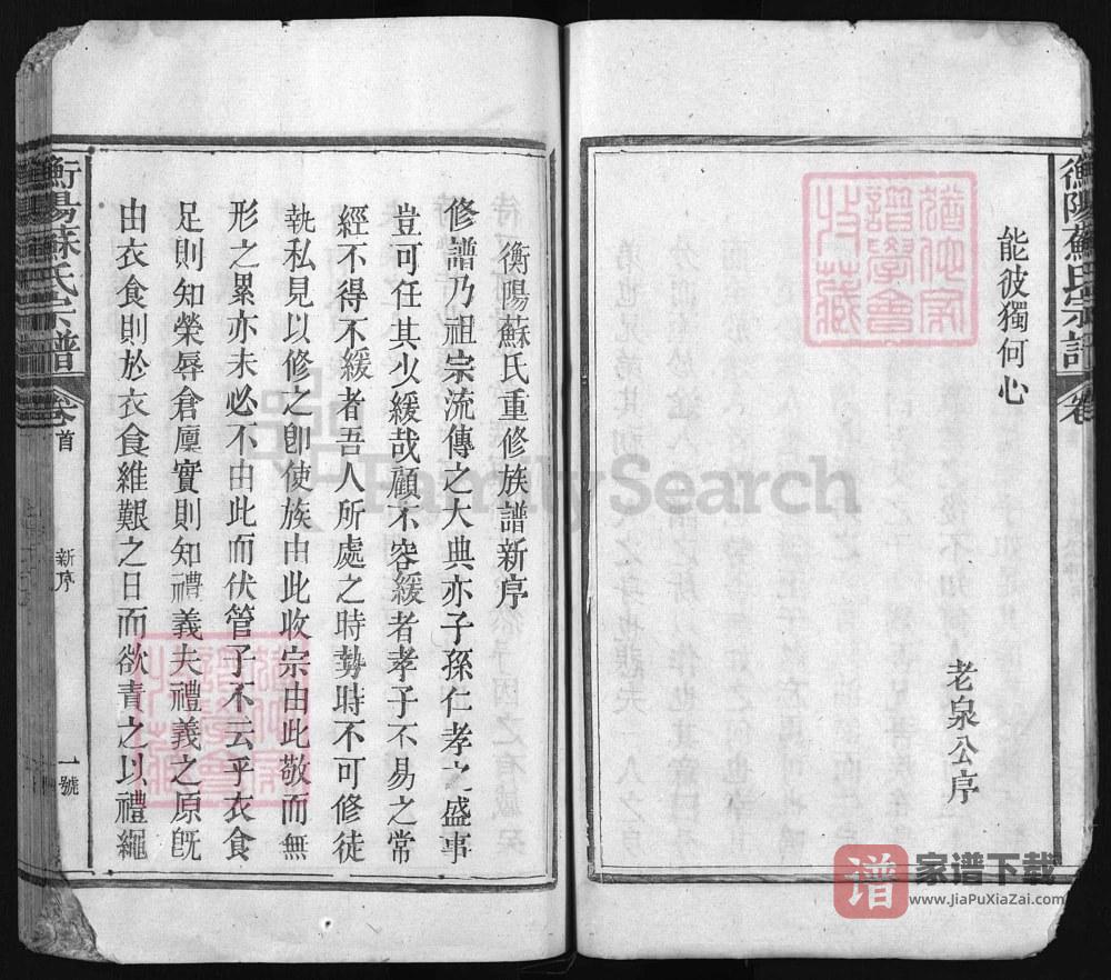 图片[2]-浙江兰溪衡阳苏氏宗谱（民国元年本）PDF高清电子版下载-家谱下载