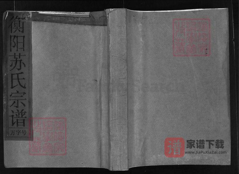 浙江兰溪衡阳苏氏宗谱PDF高清电子版下载-家谱下载