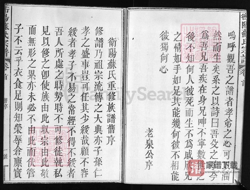 图片[2]-浙江兰溪衡阳苏氏宗谱PDF高清电子版下载-家谱下载