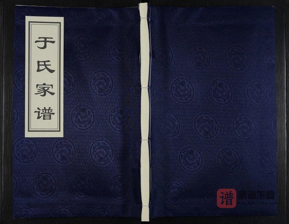 河北沧州于氏家谱PDF高清电子版下载