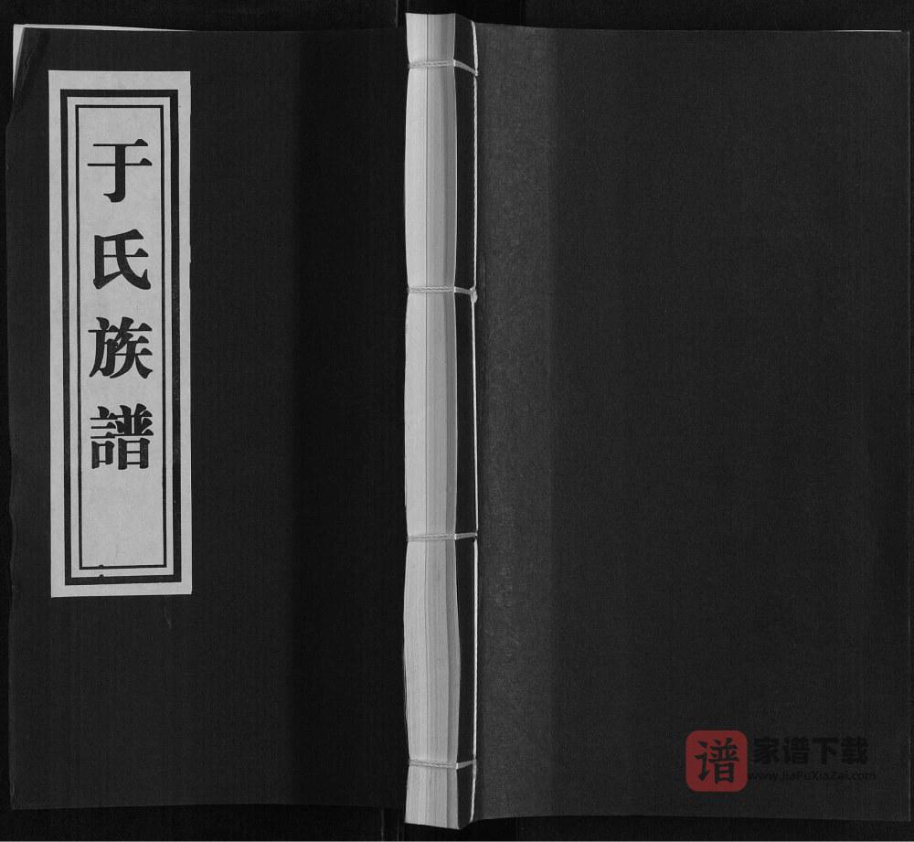 山东临沂河东大范庄于氏族谱PDF高清电子版下载