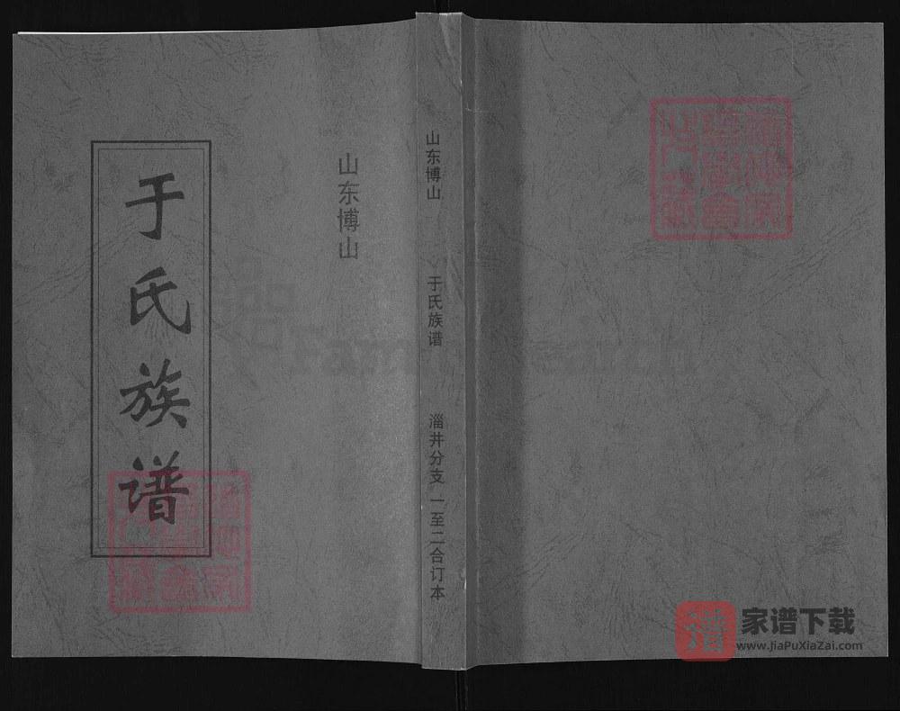 山东淄博博山于氏族谱PDF高清电子版下载