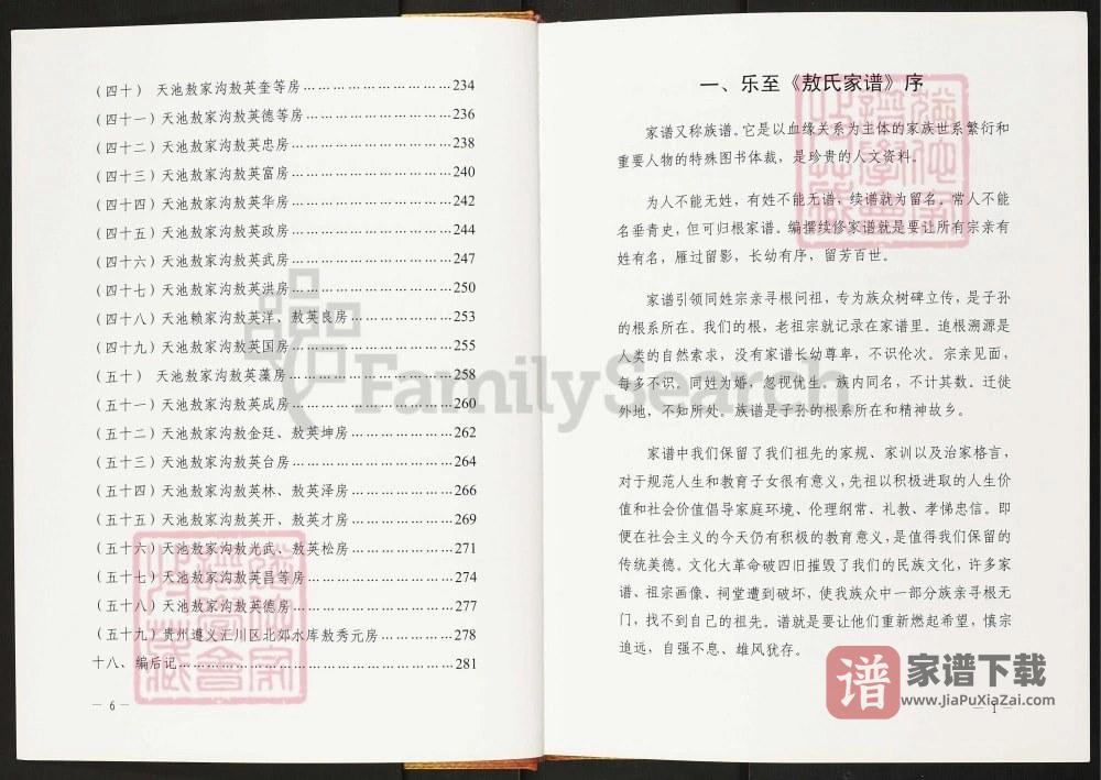 图片[2]-四川资阳敖氏家谱乐至县敖家湾支系PDF高清电子版下载-家谱下载