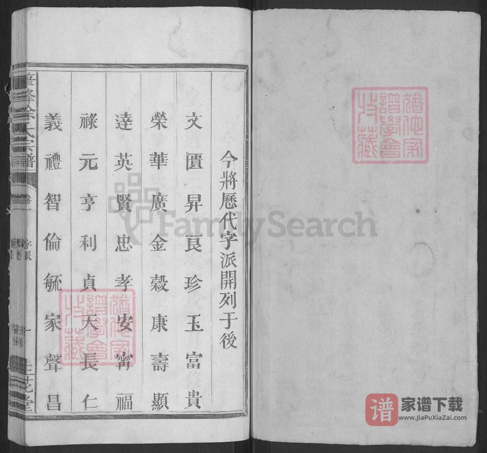 图片[2]-江西上饶广丰笔峰山徐氏宗谱（生花堂）PDF高清电子版下载-家谱下载