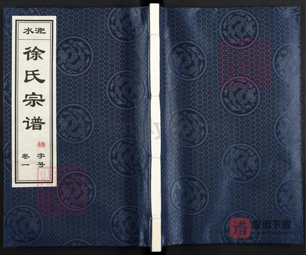图片[1]-安徽合肥庐江县淝水徐氏宗谱（世德堂）PDF高清电子版下载-家谱下载