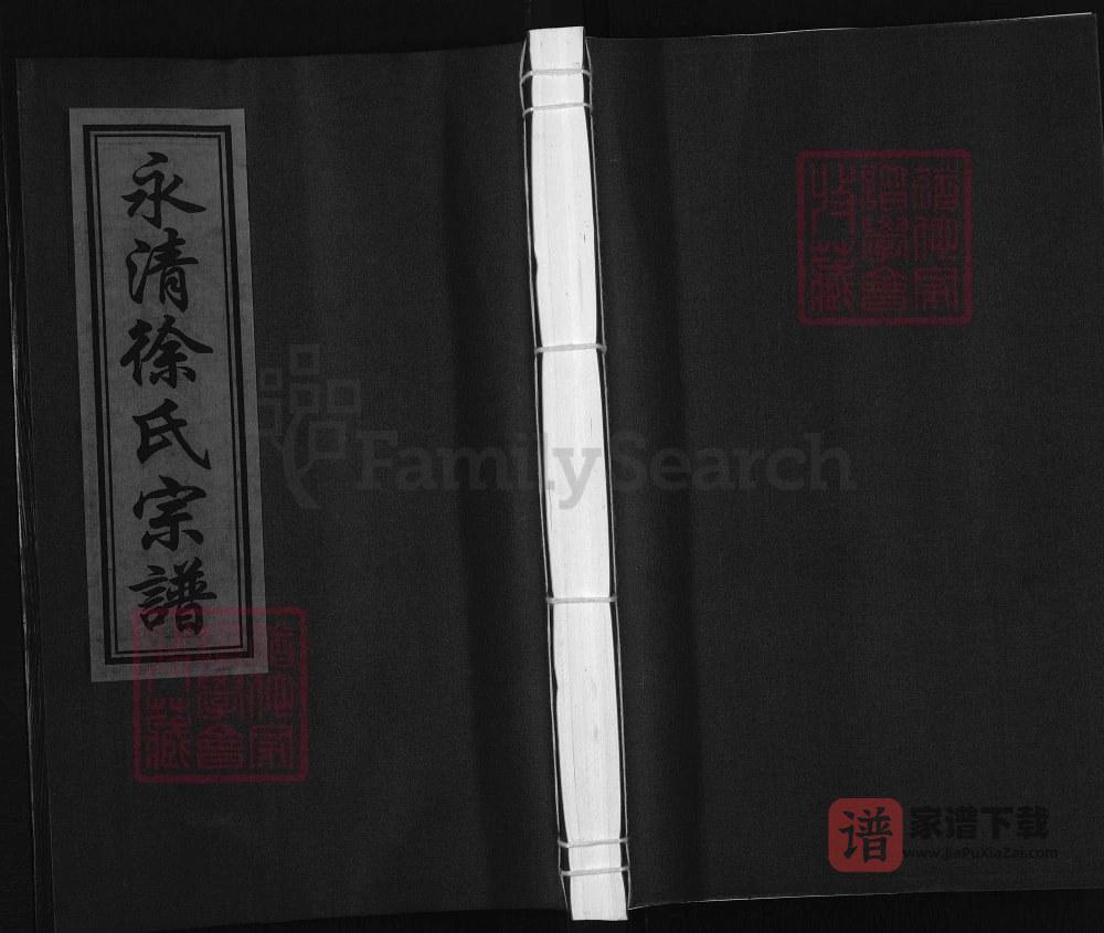 图片[1]-浙江东阳永清徐氏宗谱PDF高清电子版下载-家谱下载