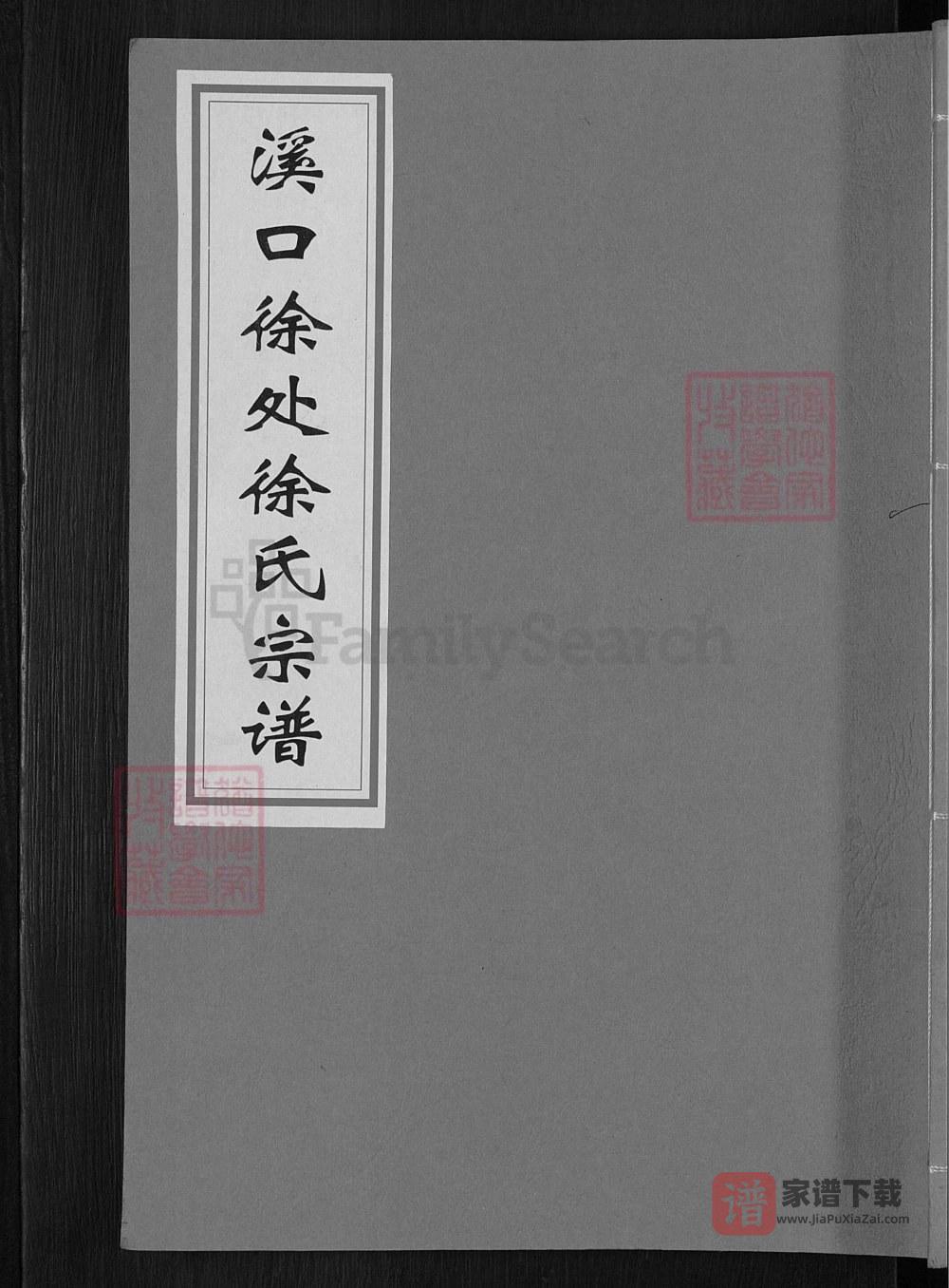 图片[1]-浙江武义溪口徐处徐氏宗谱PDF高清电子版下载-家谱下载