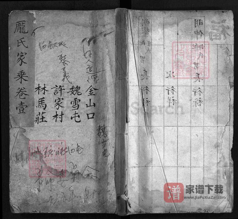 山东东平肥城庞氏家乘PDF高清电子版下载-家谱下载