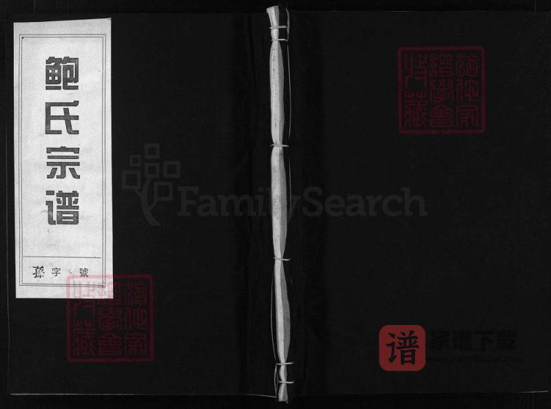 浙江兰溪后陈鲍氏宗谱（真德堂）PDF高清电子版下载-家谱下载