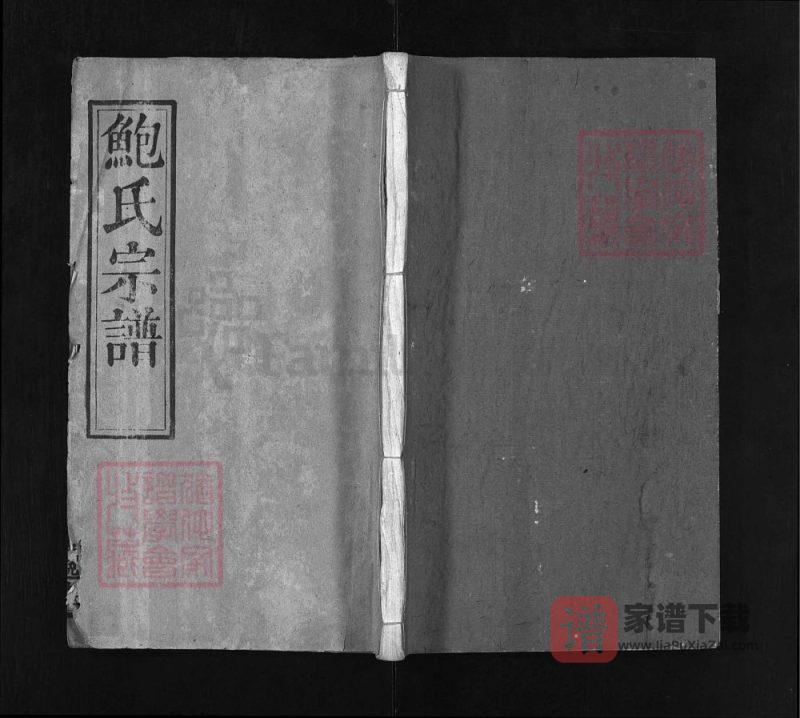 湖北麻城鲍氏宗谱（俊逸堂，民国6年本）PDF高清电子版下载-家谱下载