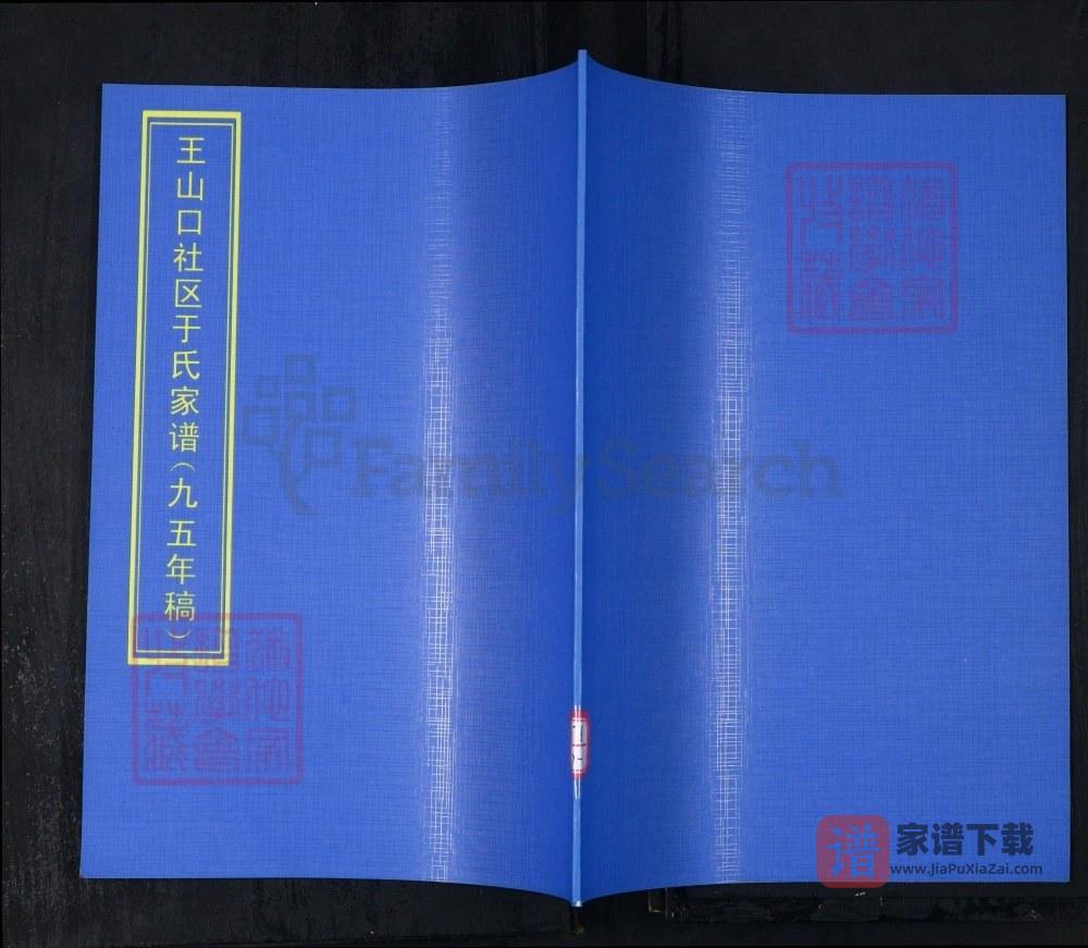 山东青岛崂山区王山口社区于氏家谱PDF高清电子版下载