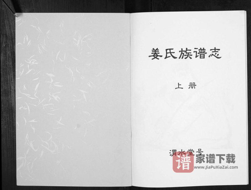 江苏宿迁姜氏族谱志（渭水堂）PDF高清电子版下载-家谱下载
