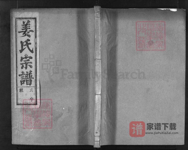 浙江兰溪姜氏宗谱(存义堂)PDF高清电子版下载-家谱下载