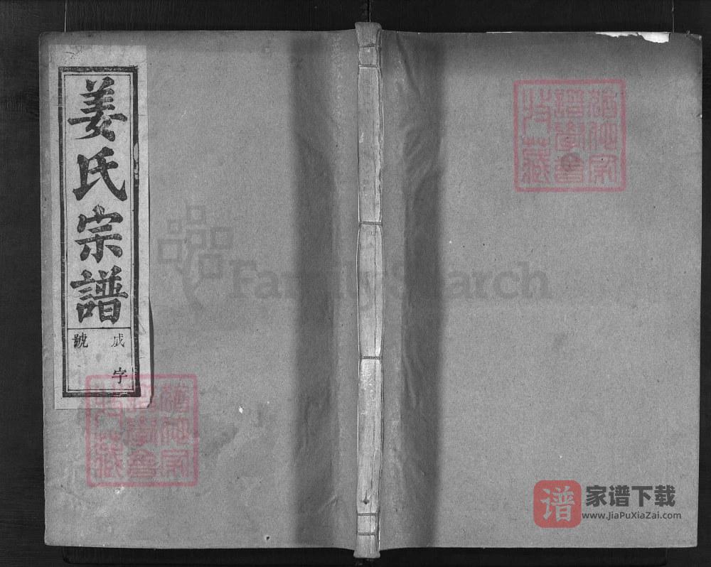 浙江兰溪姜氏宗谱（存义堂）PDF高清电子版下载