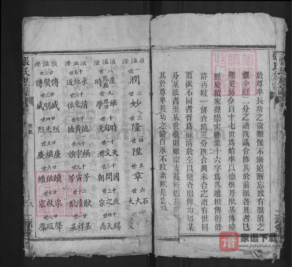 图片[2]-湖北红安张氏族谱（二铭堂）PDF高清电子版下载-家谱下载