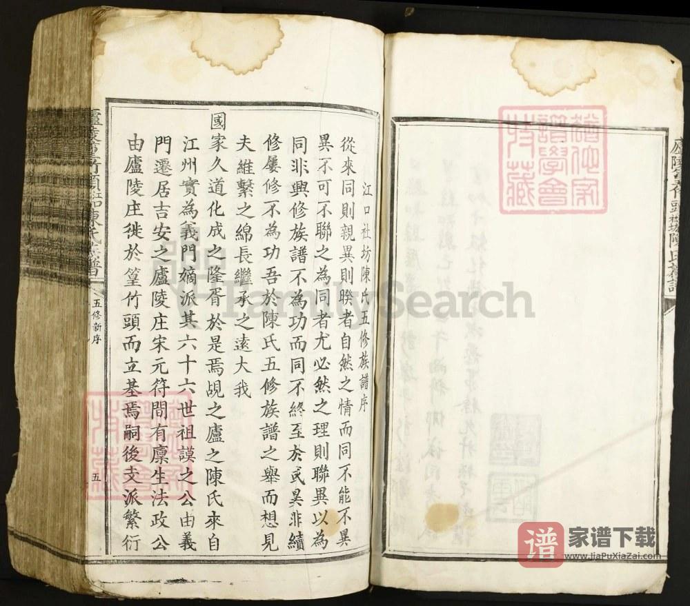 图片[1]-江西吉安庐陵篁竹头江口社坊陈氏族谱PDF高清电子版下载-家谱下载