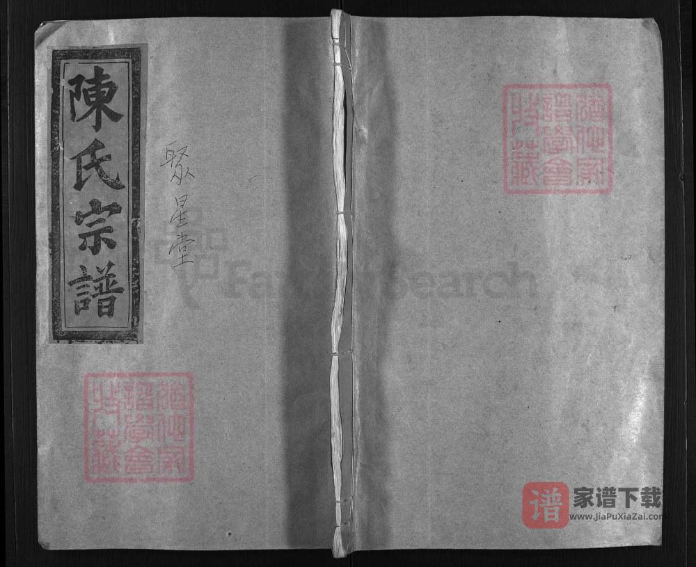 图片[1]-浙江温州平阳县颖川郡陈氏宗谱（聚星堂）PDF高清电子版下载-家谱下载