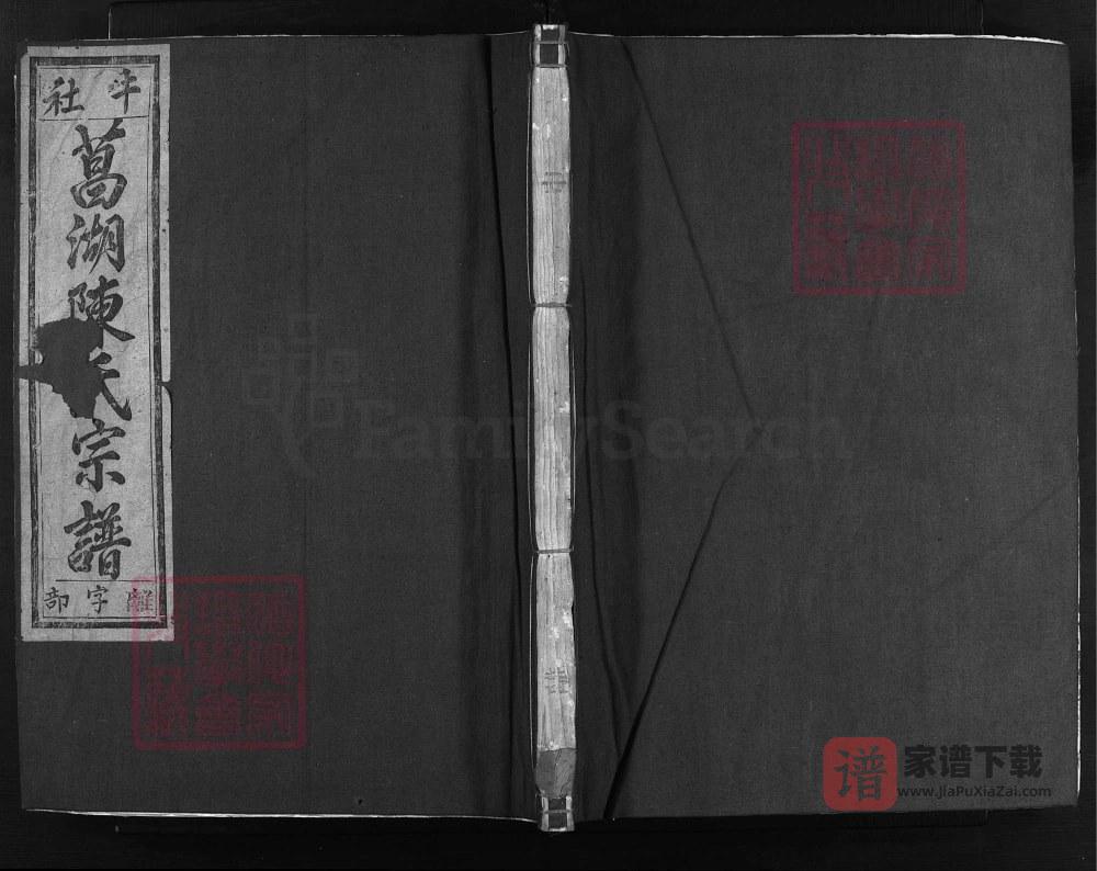 图片[1]-浙江兰溪兰江菖湖陈氏宗谱（敦孝堂）PDF高清电子版下载-家谱下载