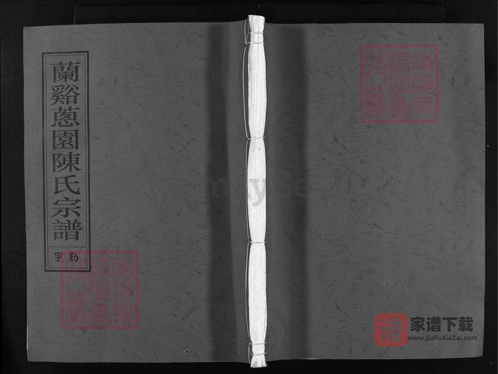 图片[1]-浙江兰溪葱园陈氏宗谱（彝伦堂）PDF高清电子版下载-家谱下载