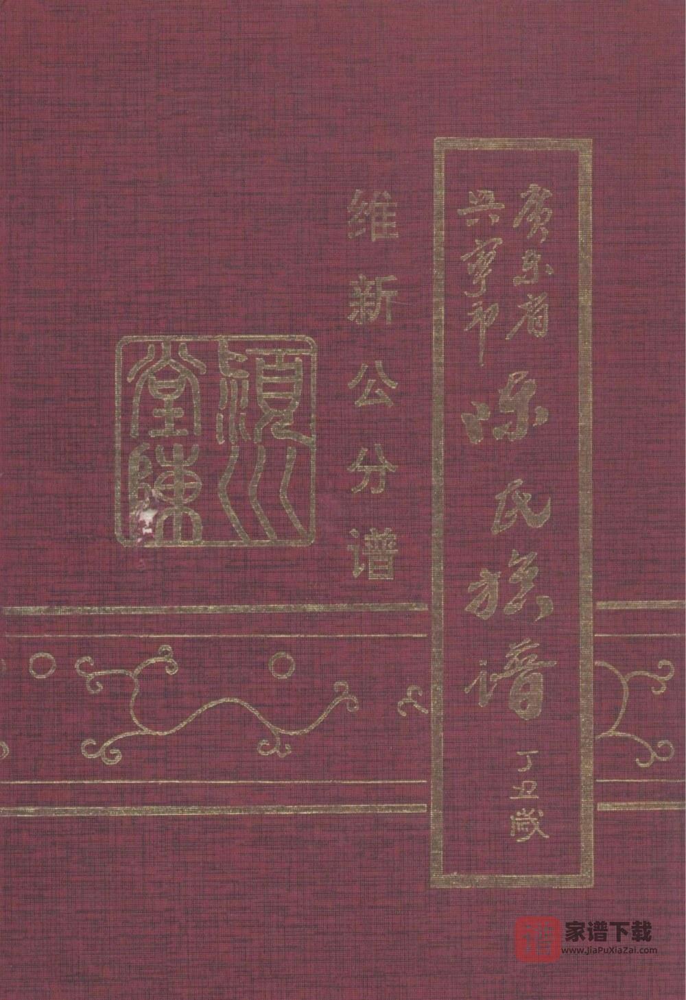 广东兴宁陈氏族谱维新公分谱PDF高清电子版下载