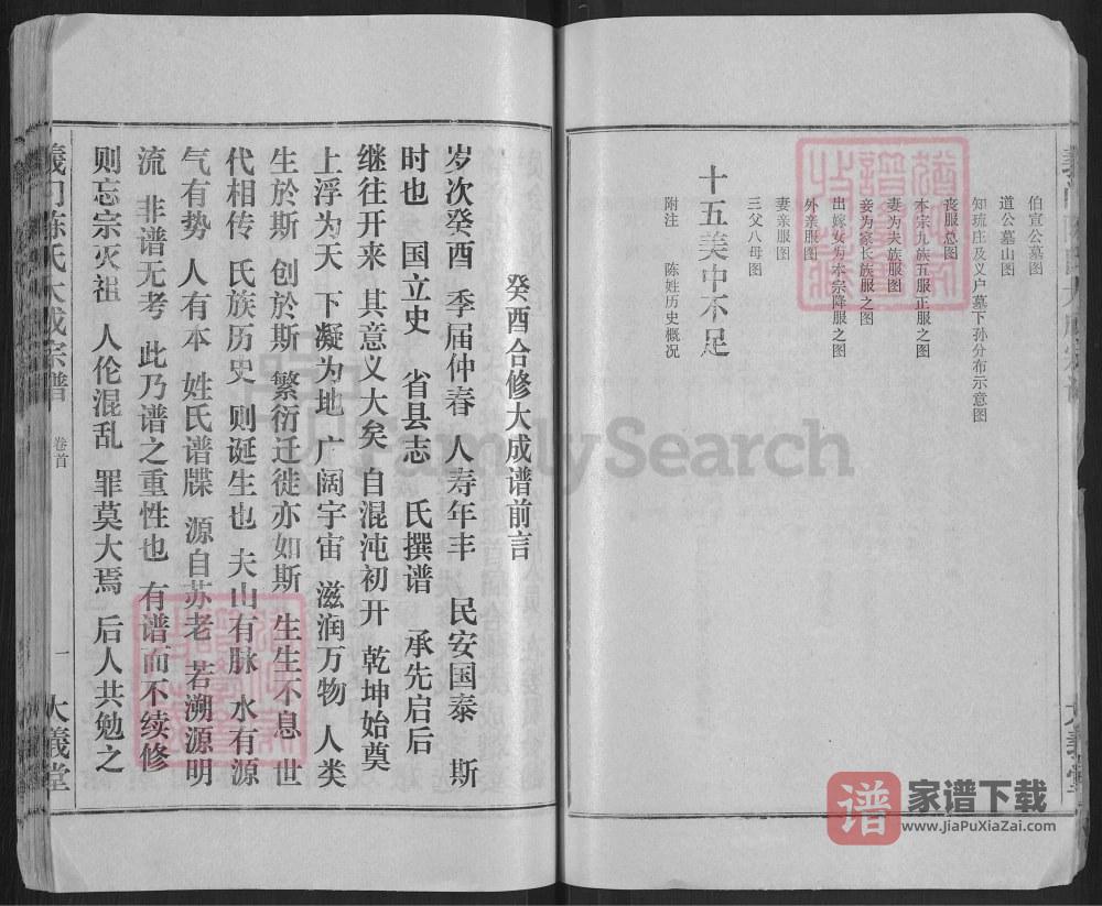 图片[2]-湖北武穴义门陈氏大成宗谱（大义堂）PDF高清电子版下载-家谱下载
