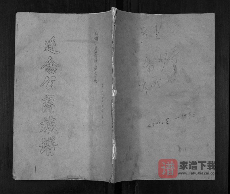 广东河源和平县陈氏族谱PDF高清电子版下载-家谱下载