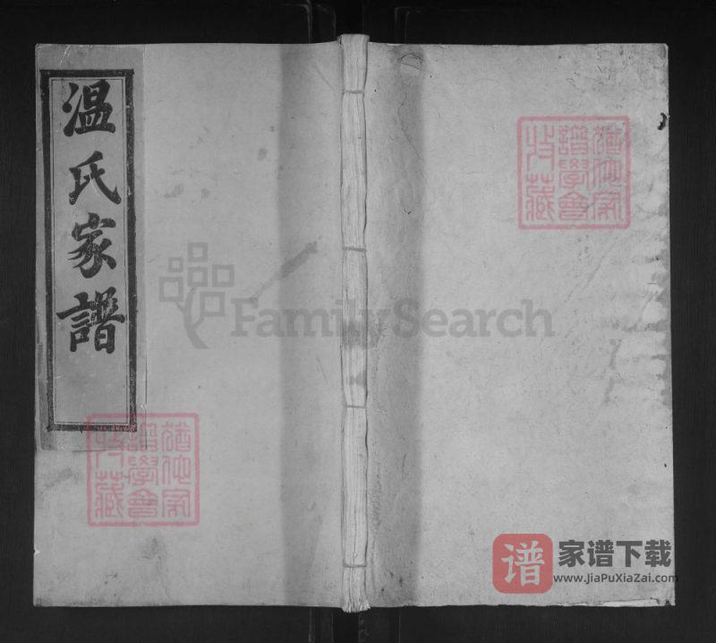江西石城联芳温氏十三修族谱PDF高清电子版下载-家谱下载