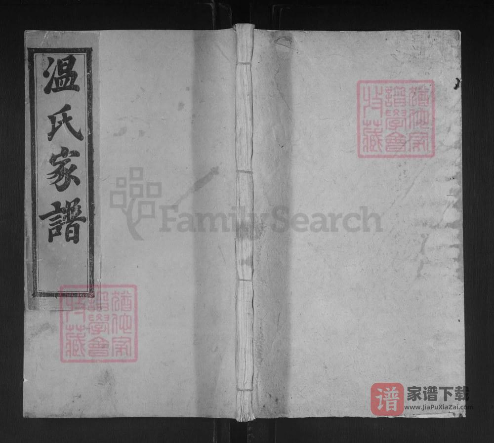 图片[1]-江西石城联芳温氏十三修族谱PDF高清电子版下载-家谱下载