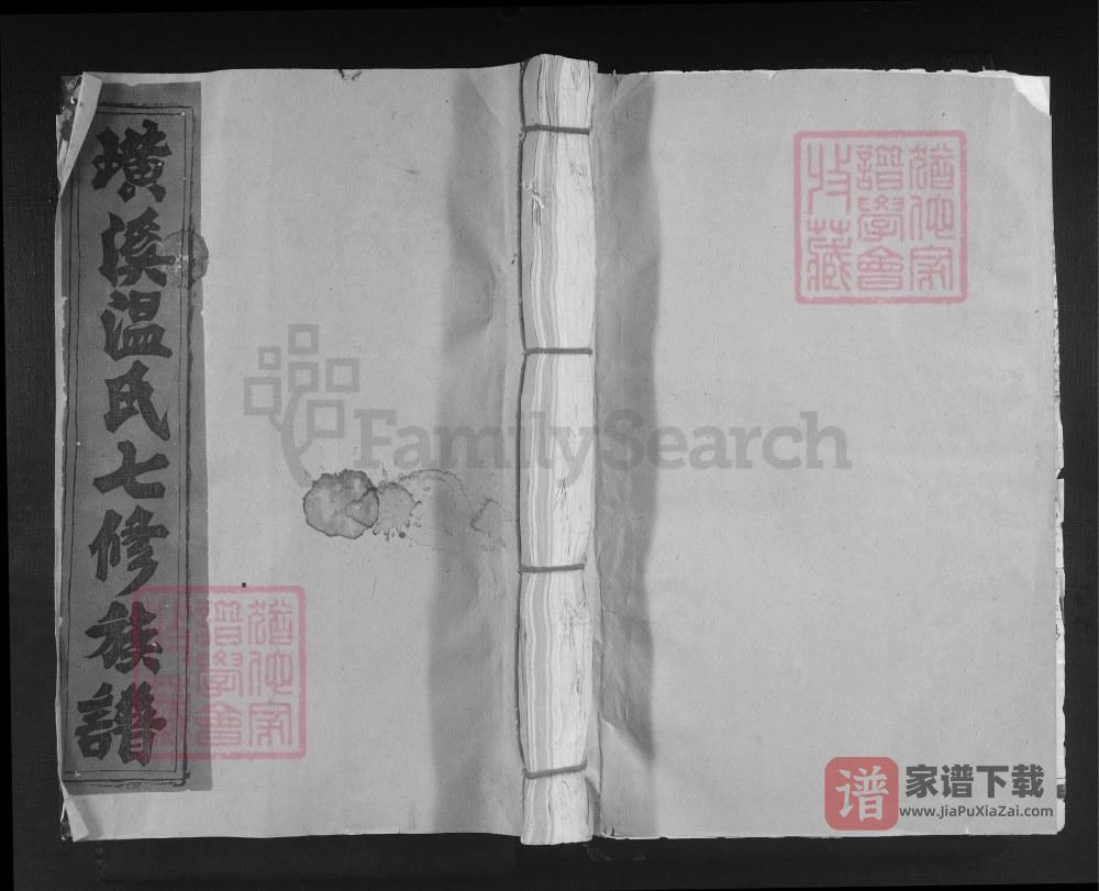 图片[1]-江西赣州宁都璜溪温氏祠七修族谱PDF高清电子版下载-家谱下载