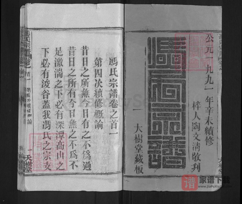 图片[2]-湖北黄冈红安冯氏宗谱（大树堂）PDF高清电子版下载-家谱下载