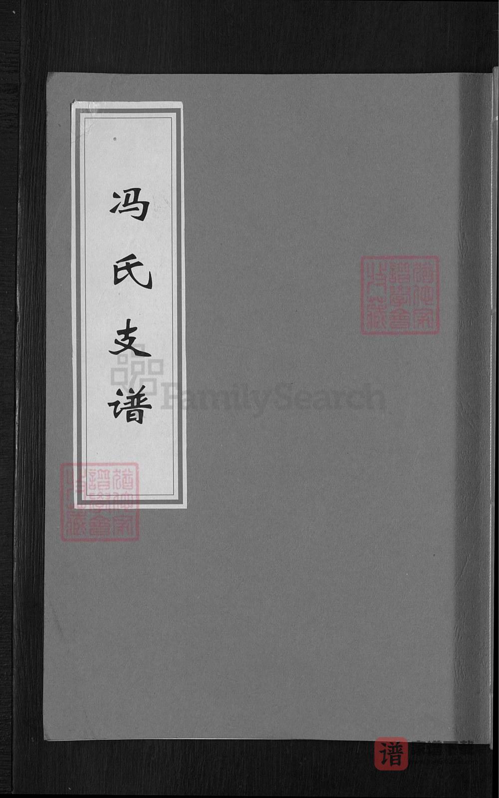 湖南涟源冯氏东江房支谱（始平堂）PDF高清电子版下载