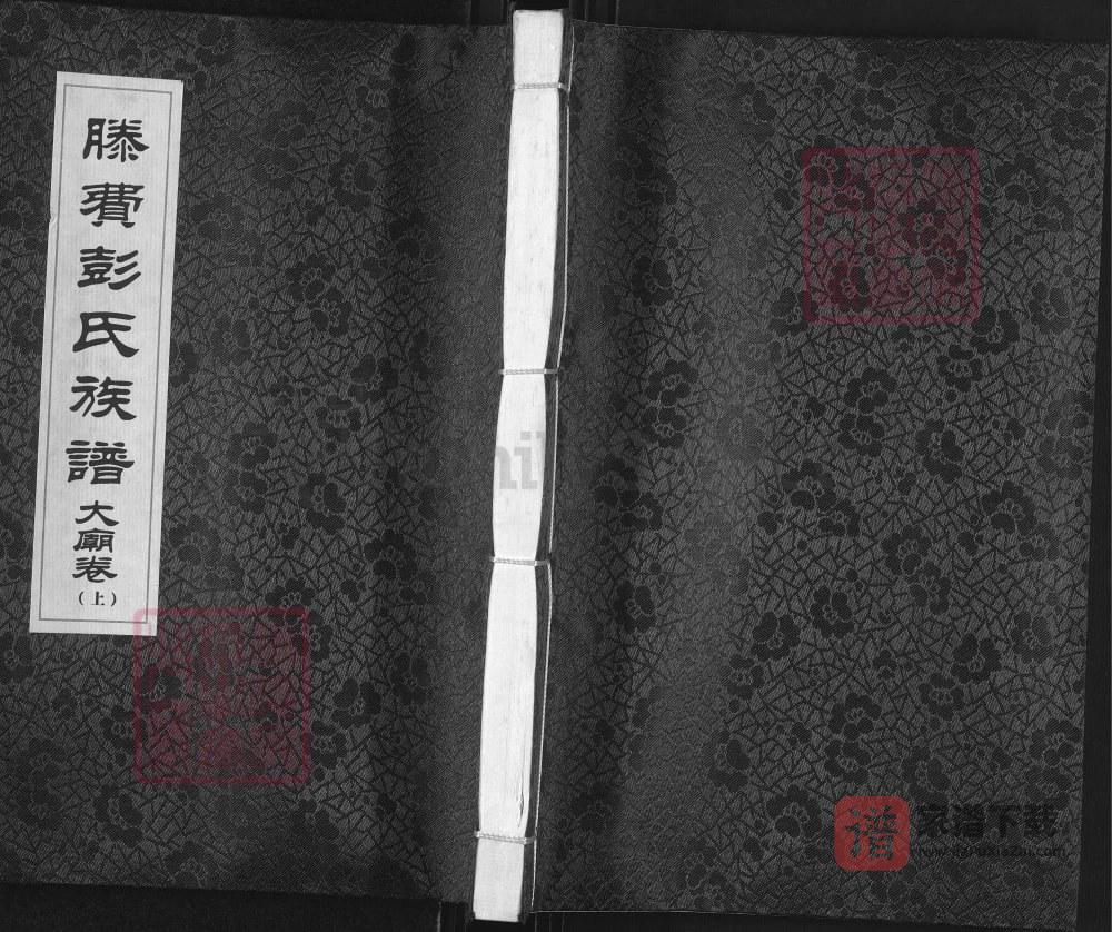 图片[1]-山东滕州滕费彭氏族谱（陇西堂）PDF高清电子版下载-家谱下载