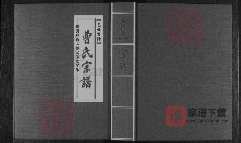 浙江金华武义县周源曹氏宗谱PDF高清电子版下载-家谱下载