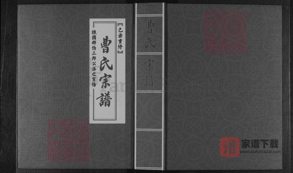 浙江金华武义县周源曹氏宗谱PDF高清电子版下载