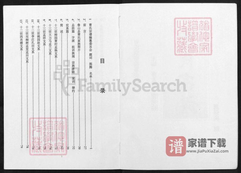 河南平顶山鲁山县曹氏宗谱PDF高清电子版下载-家谱下载