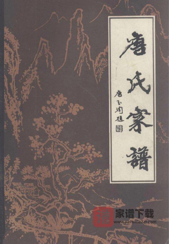 河南周口扶沟县唐氏家谱PDF高清电子版下载-家谱下载