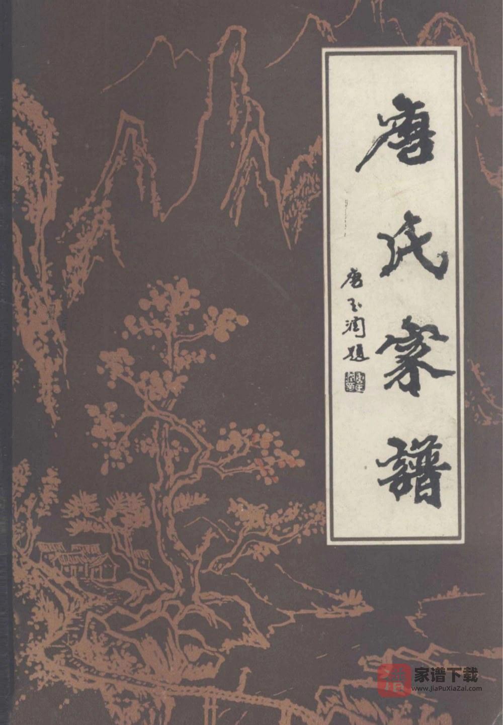 河南周口扶沟县唐氏家谱PDF高清电子版下载