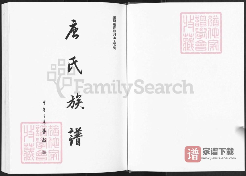 山东菏泽东明唐庄顺河集王官营唐氏族谱PDF高清电子版下载