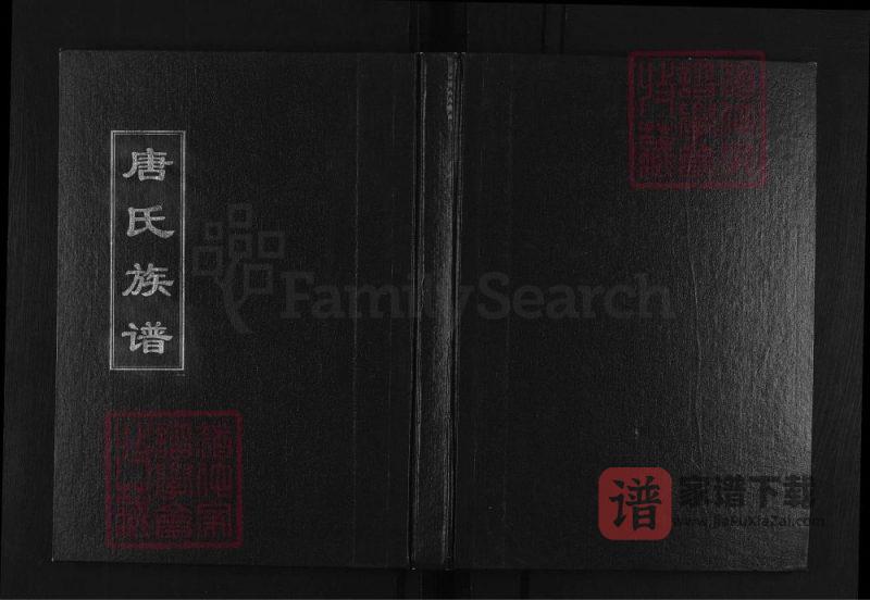 山东淄博唐氏族谱PDF高清电子版下载-家谱下载