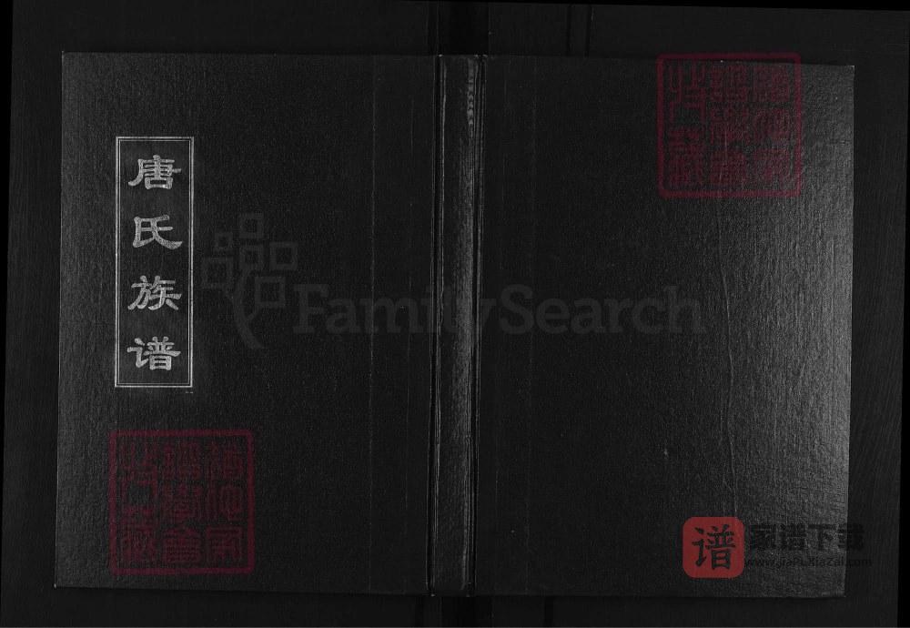 山东淄博唐氏族谱PDF高清电子版下载