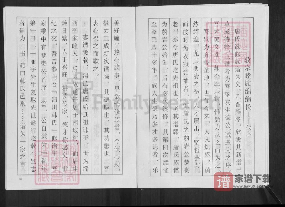 图片[2]-山东淄博唐氏族谱PDF高清电子版下载-家谱下载